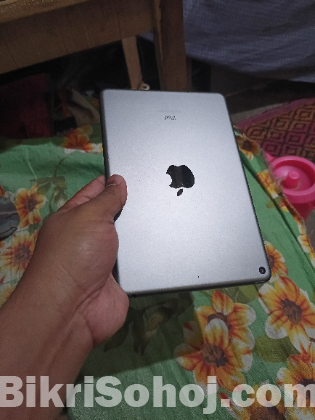 Ipad mini 5 best conditions